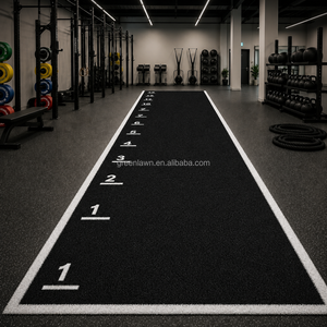 Professional Synthetic Artificial Grass S HRX LINE PRODUCTS Gym Turf Sled Turf Tracks for Gyms Support LOGO,Graphics Customized