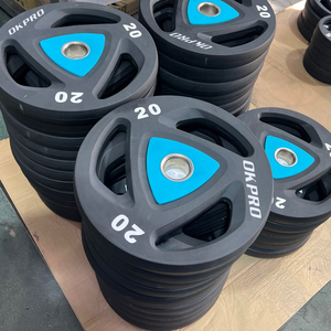 Customized LOGO 25KG Weight Plate Gym Plates