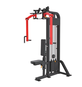 Adjustable Rear Delt Pec Fly Combo