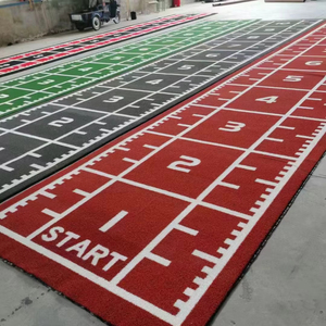 Wholesale Customized Gym Artificial Turf Sled Track