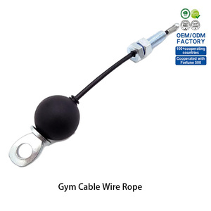 Factory Direct Gym Cable Wire Rope with Nylon Ball